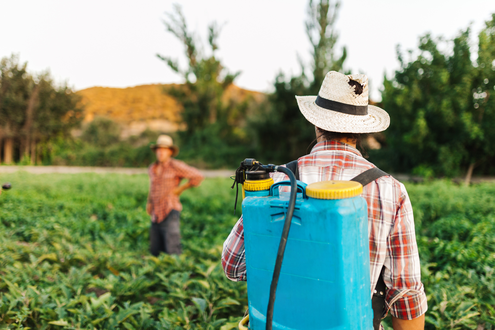 Young Farmer Spraying Organic Fertilizer with Manual Pump Tank